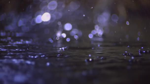 Zware Regenval Het Meer Zomer Bos Close Slow Motion — Stockvideo