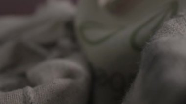 Kürekle kızarmadan önce çiğ kahve çekirdeğinin kalitesini test etmek