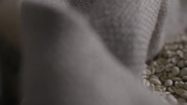 Kürekle kızarmadan önce çiğ kahve çekirdeğinin kalitesini test etmek