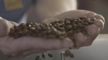 Kahve çekirdekleri. Bir avuç kahve çekirdeği gösteren bir adam.