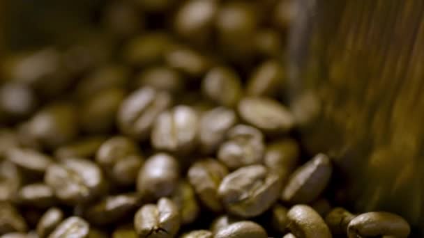 Roasting Coffee Beans Close — Stock Video