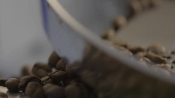 Coffee Bean Bags Close — Video Stock