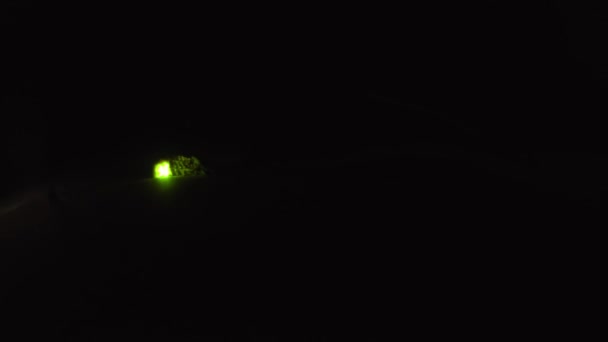 Taking Video Fireflies Glowing — Wideo stockowe