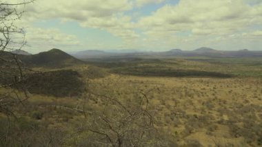 Kenya, Tsavo West N.P. 'de Wooded Savannah' da.