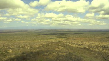 Kenya, Tsavo West N.P. 'de Wooded Savannah' da.