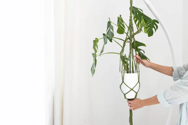 Handmade green macrame plant hangers with potted plant are hanging on woman hand. pot and monstera plant — Stock Photo, Image