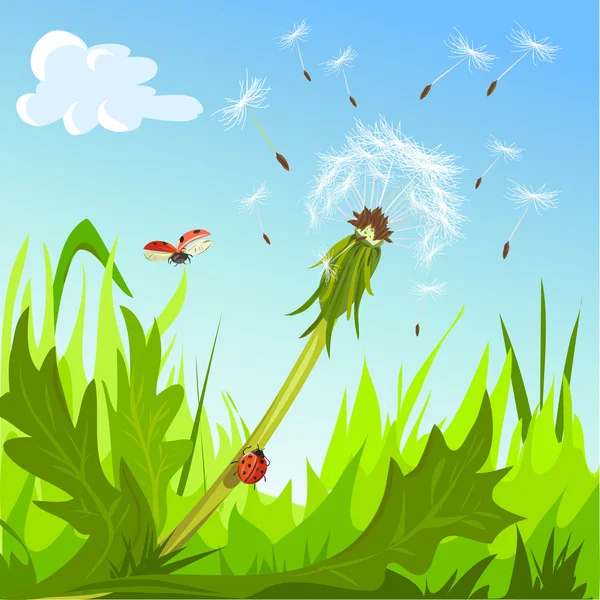 Dandelion and ladybugs against the sky — Stock Vector