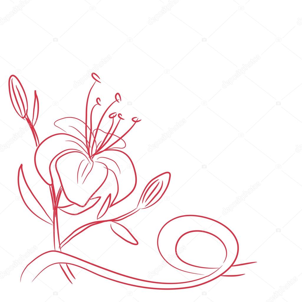 sketch of a flower and ribbon
