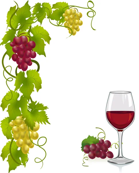 Grapevine en wijn glas — Stockvector