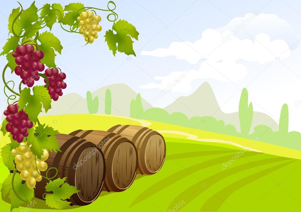 grapes, barrels and rural landscape