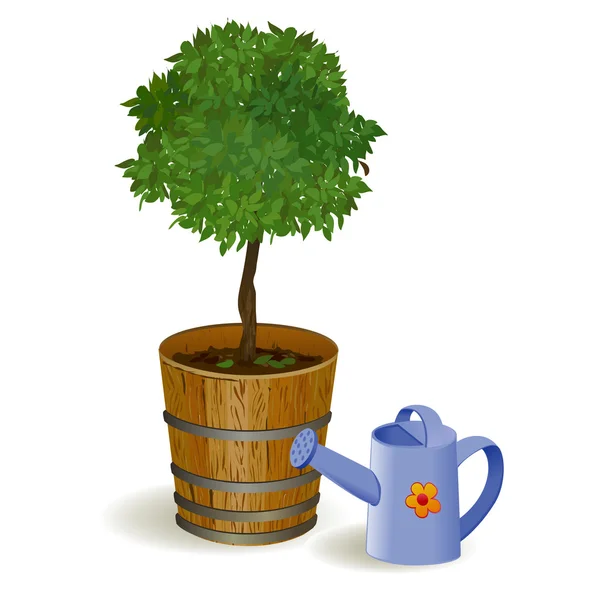 Tree in a pot and watering — Stock Vector