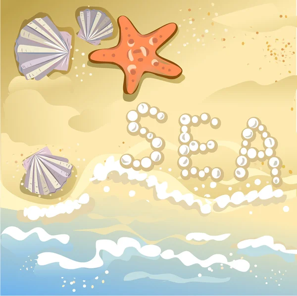 Background of sea and beach, starfish and seashells — Stock Vector