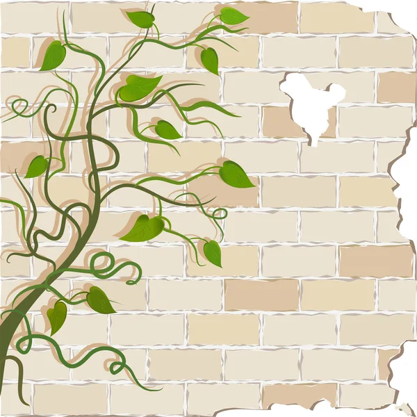 Vinhas encaracoladas em uma parede de tijolo — Vetor de Stock