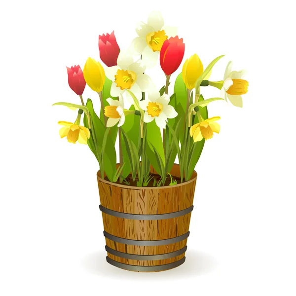 Spring flowers in a barrel — Stock Vector