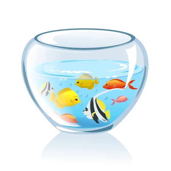 Aquarium met vis geïsoleerd — Stockvector