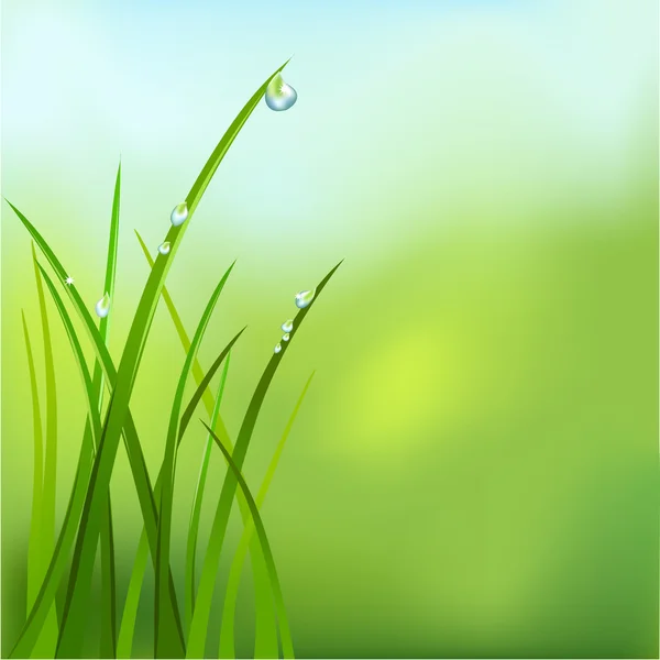Tło z trawy i rosy — Wektor stockowy