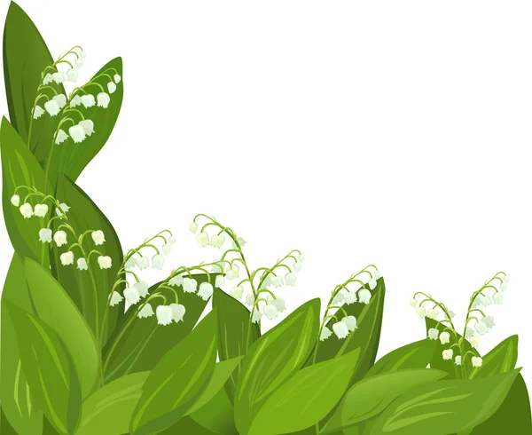 arka plan çiçek lily vadi