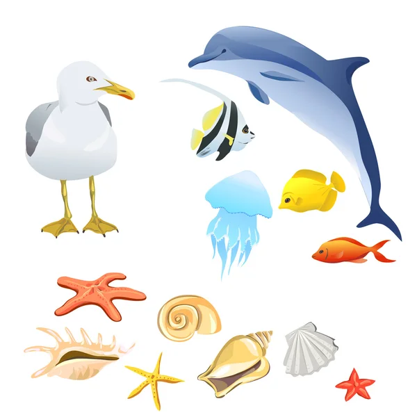 Set of marine fauna isolated — Stock Vector