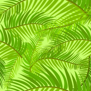 palmiye yaprağı sorunsuz arka plan