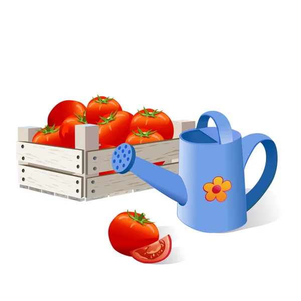 Los tomates en la caja, el vidriado, la cosecha — Vector de stock
