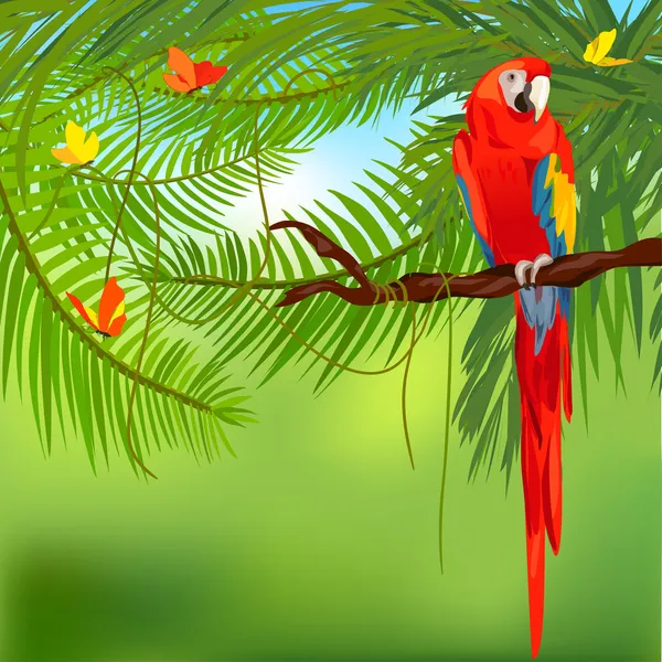 Selva tropical y loro — Vector de stock