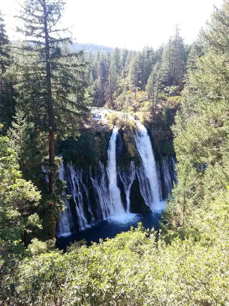 Burney falls, Mount Shasta area, Kalifornien USA — Stockfoto