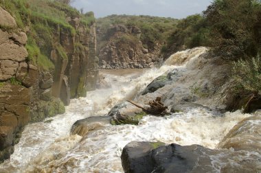 Etiyopya suda yüzen şelale