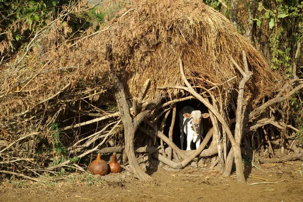 Afrika manzaraları ve köyleri