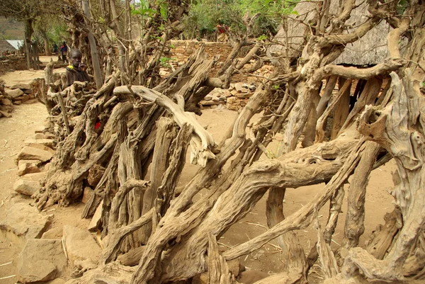 Pueblos africanos — Foto de Stock