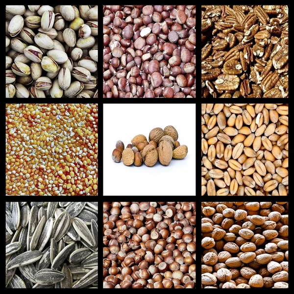 Nuts collage Royalty Free Stock Images