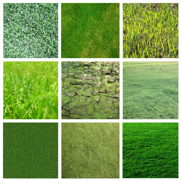 緑の草のコラージュ — ストック写真