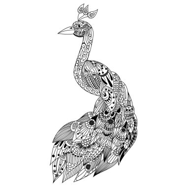 Zentangle stilinde el çizimi tavus kuşu