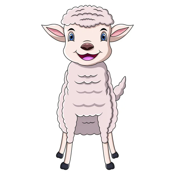 Cute Owiec Kreskówki Białym Tle — Wektor stockowy