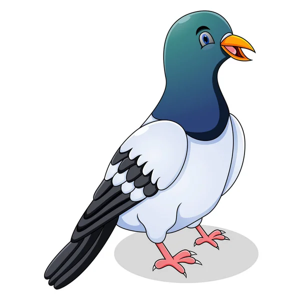 Beyaz Arka Planda Sevimli Güvercin Karikatürü — Stok Vektör