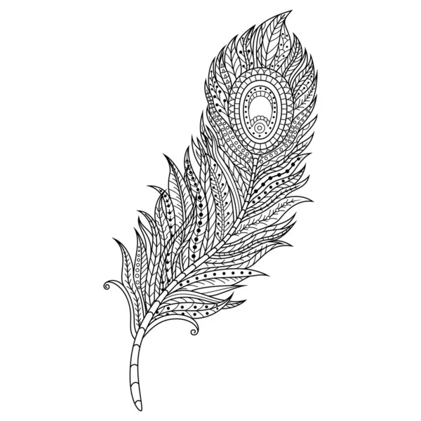 手绘拉链式羽毛 — 图库矢量图片