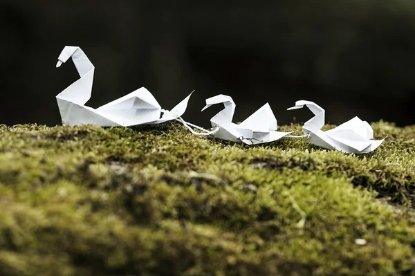 Colorful Origami Swan — Stock Photo, Image