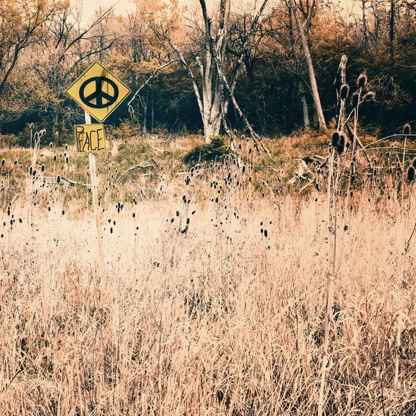 Peace sign in meadow — Stock Photo, Image