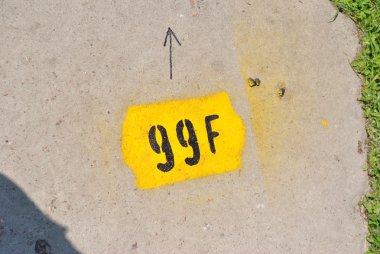 99 franks