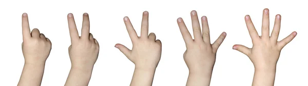 Kids hand counting — Stock Photo, Image