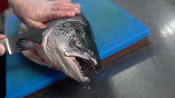 生の鮭の魚の頭をナイフで切り取ります キッチンで調理するための赤いおいしいマスの魚の準備 健康的なシーフードダイエットクローズアップショット — ストック動画