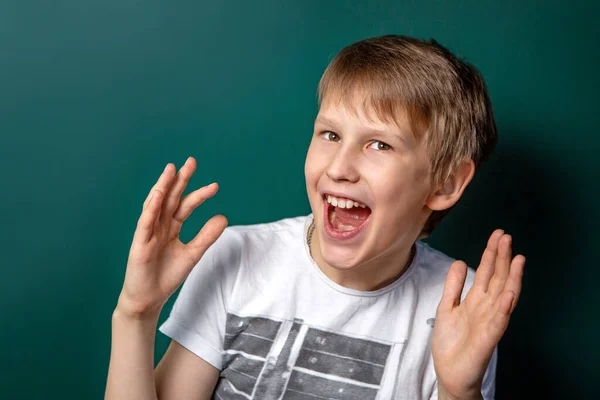 緑の背景にヨーロッパ人の少年の外観 喜びの感情 発見と学習の容易さ 中学校 ロイヤリティフリーのストック写真