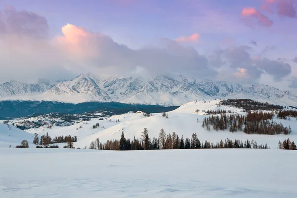 Горный Зимний Пейзаж Рассвете Облака Утреннем Свете Много Снега Красота — стоковое фото