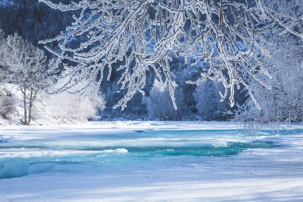 Сказочный Зимний Пейзаж Реке Деревья Инее Яркий Зимний Солнечный День — стоковое фото