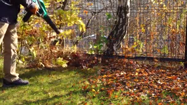 Rengöring av höstlöven med en lövblåsa. Bladen på gräsmattan blåses bort — Stockvideo