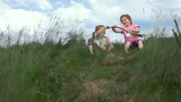 Piccole ragazze felici scivola giù per la collina, ride e sorride sul parco giochi erboso. — Video Stock