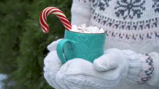 Bebidas tradicionais de Natal. Uma xícara de cacau quente com marshmallows e doces — Vídeo de Stock