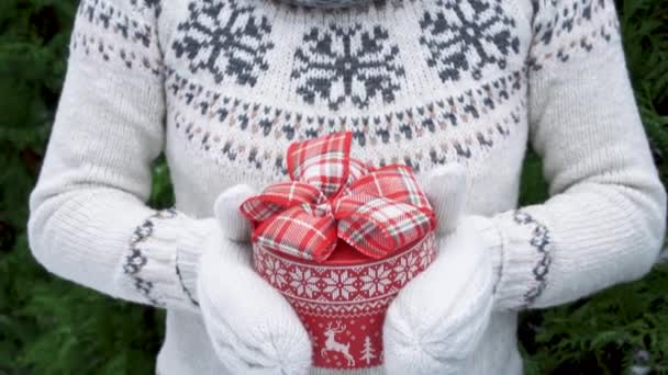 Cadeaus geven voor Kerstmis. Ik ontvang een kerstcadeau. meisje in gebreide trui — Stockvideo