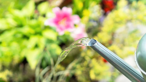 Water Pours Spout Metal Watering Can Watering Garden Hot Sunny — Stockfoto