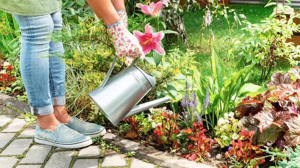 Gardener Apron Gloves Waters Blooming Garden Metal Watering Can Watering Royalty Free Stock Photos