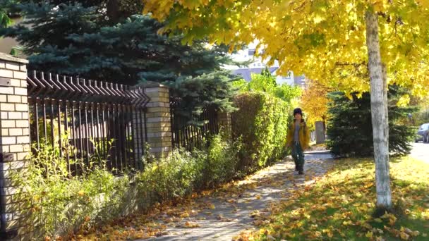노란 나뭇잎으로 덮인 길을 따라 걸어가는 소년, 아름다운 자작나무 옆에서 — 비디오